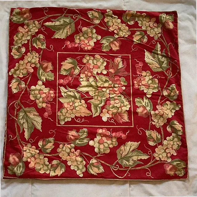 2 April Cornell red green vineyard grapes #2 square pillow shams 19"x20"