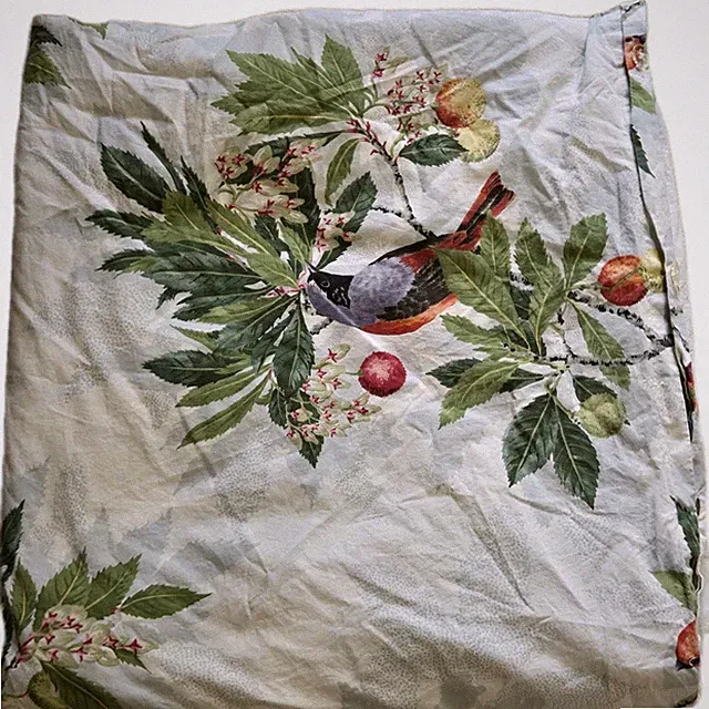 HTF Pottery Barn Birds & Fruit Organic Cotton Duvet Cover Full/Queen Cottage